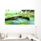 Uberabasuchus Reptiles Catch Fish Wall Decal