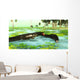 Uberabasuchus Reptiles Catch Fish Wall Decal