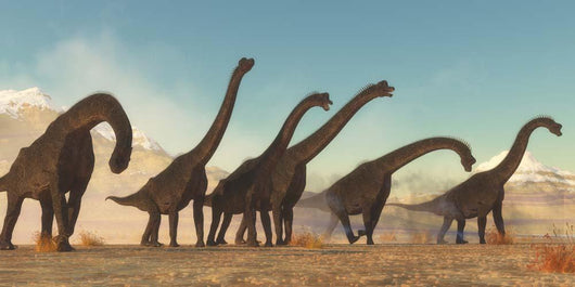 Brachiosaurus Dinosaur Herd Moving Wall Decal