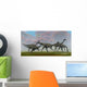 Flock Gallimimus Dinosaur Reptiles Wall Decal