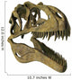 Acrocanthosaurus Dinosaur Fossil Head Wall Decal