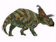 Albertaceratops Dinosaur Side Profile Wall Decal