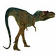 Albertosaurus Dinosaur White Wall Decal Design 1