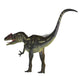 Allosaurus Dinosaur White Wall Decal
