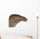 Amargasaurus Dinosaur Portrait Wall Decal