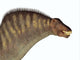 Amargasaurus Dinosaur Portrait Wall Decal