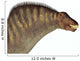 Amargasaurus Dinosaur Portrait Wall Decal