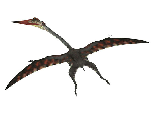 Quetzalcoatlus Flying Pterosaur Wall Decal