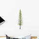 Calamites Plant from Carboniferous Wall Decal