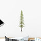 Calamites Plant from Carboniferous Wall Decal