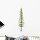 Calamites Plant from Carboniferous Wall Decal