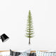 Calamites Plant from Carboniferous Wall Decal