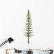 Calamites Plant from Carboniferous Wall Decal