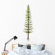 Calamites Plant from Carboniferous Wall Decal