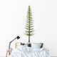 Calamites Plant from Carboniferous Wall Decal