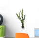 Dicroidium Seed Plant from Wall Decal