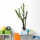 Dicroidium Seed Plant from Wall Decal