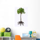 Extinct Glossopteris Plant White Wall Decal