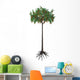 Prehistoric Era Lepidodendron Tree Wall Decal