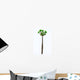 Pachypodium Arboreal Plant White Wall Decal