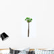 Pachypodium Arboreal Plant White Wall Decal