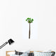 Pachypodium Arboreal Plant White Wall Decal