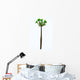 Pachypodium Arboreal Plant White Wall Decal