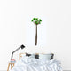 Pachypodium Arboreal Plant White Wall Decal