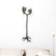 Sigillaria Tree from Late Wall Decal