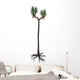 Sigillaria Tree from Late Wall Decal