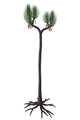 Sigillaria Tree from Late Wall Decal