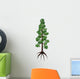Wollemia Coniferous Tree White Wall Decal