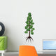 Wollemia Coniferous Tree White Wall Decal
