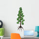 Wollemia Coniferous Tree White Wall Decal