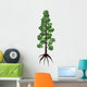 Wollemia Coniferous Tree White Wall Decal
