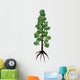 Wollemia Coniferous Tree White Wall Decal