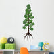 Wollemia Coniferous Tree White Wall Decal