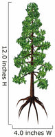 Wollemia Coniferous Tree White Wall Decal