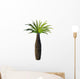 African Bottle Tree Pachypodium Wall Decal