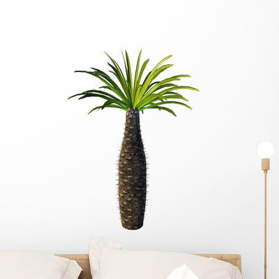 African Bottle Tree Pachypodium Wall Decal shown on a wall