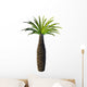 African Bottle Tree Pachypodium Wall Decal