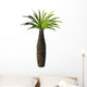 African Bottle Tree Pachypodium Wall Decal