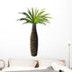 African Bottle Tree Pachypodium Wall Decal
