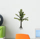 Alethopteris Prehistoric Plant from Wall Decal