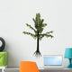 Alethopteris Prehistoric Plant from Wall Decal