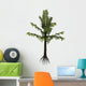 Alethopteris Prehistoric Plant from Wall Decal