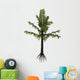 Alethopteris Prehistoric Plant from Wall Decal