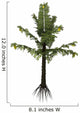 Alethopteris Prehistoric Plant from Wall Decal