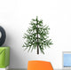 Araucaria Evergreen Tree from Wall Decal