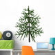 Araucaria Evergreen Tree from Wall Decal